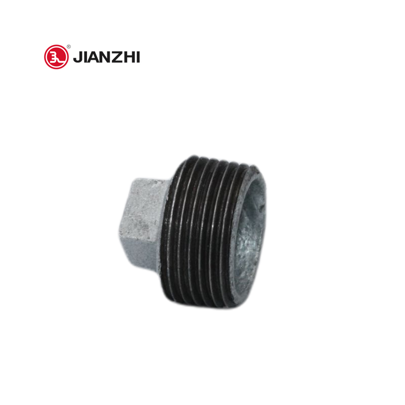 galvanized pipe plug