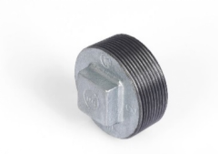 Malleable Iron Plug